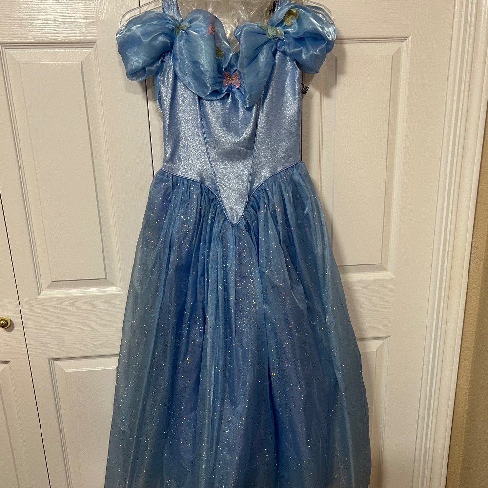 Cinderella costume